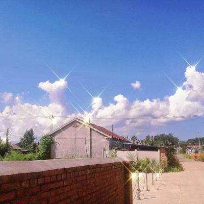 十字召唤师手游下载